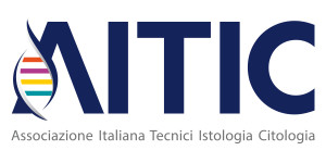logo_AITIC